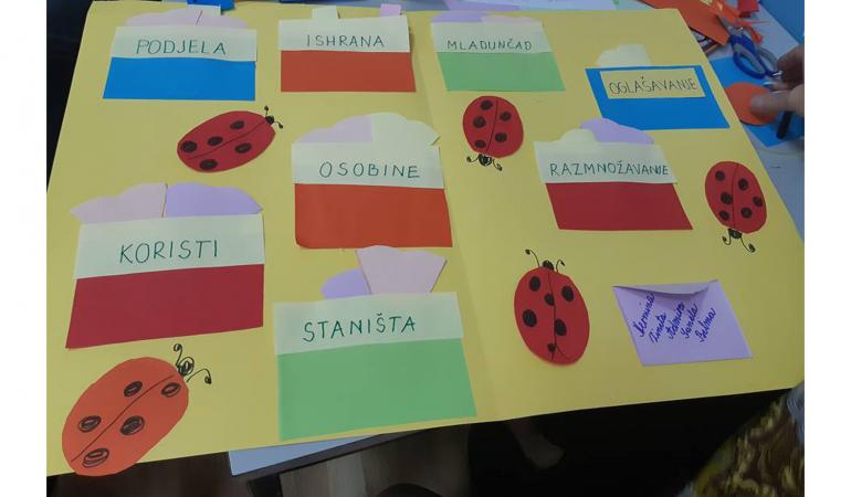 LAPBOOK