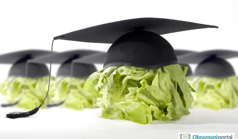 Ima li obrazovanja nakon PISE?